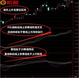 股票fsl如何用