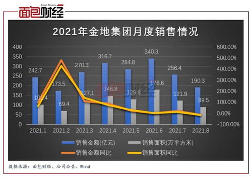 发债后如何运作股票
