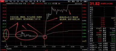 如何看今天的水泥股票