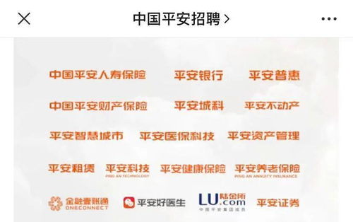 平安证券怎么打开黑屏