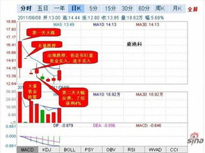 如何选版块的龙头股票