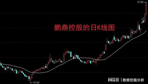 如何在跌停板中选股票 如何在跌停板中选股票