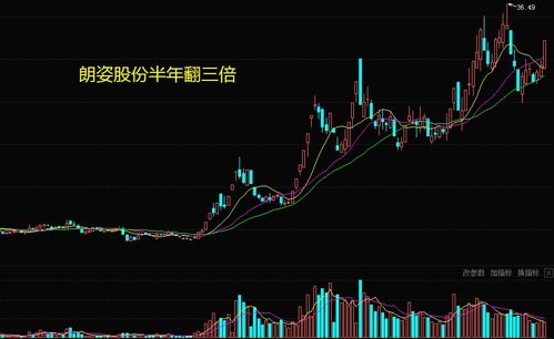 如何从事股票行业