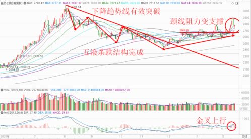 兴森科技中信证券怎么样