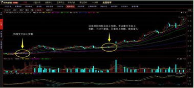 不同环境下如何选股票