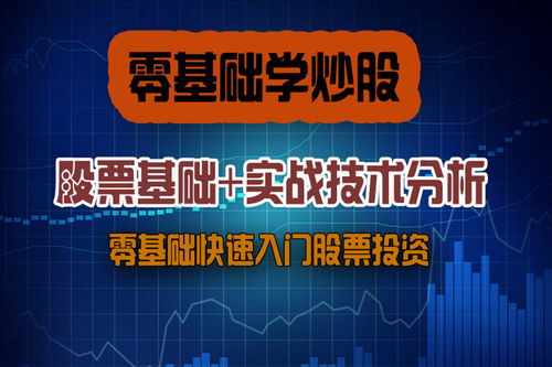 如何去看股票视频