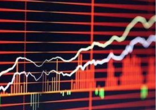 如何投资到股票中的基金 如何投资到股票中的基金