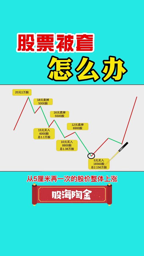 如何看被套股票价格