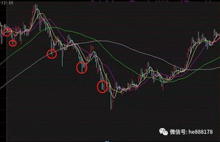 如何建立长期跟踪的股票