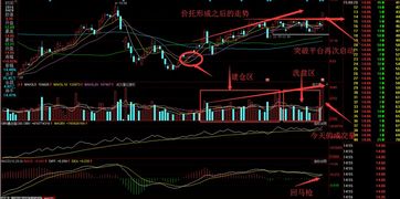 如何确定股票的价值