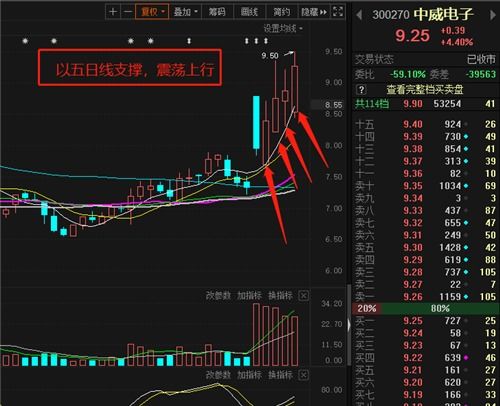 如何设置股票振幅