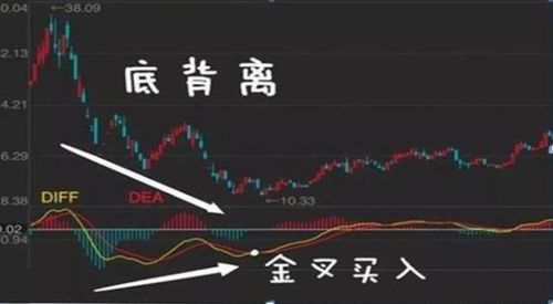 今生股票如何 今生股票如何