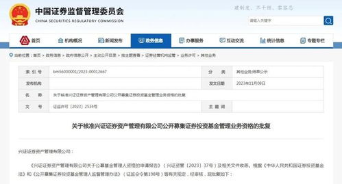 证券公司信息怎么查看