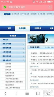 证券公司信息怎么查看