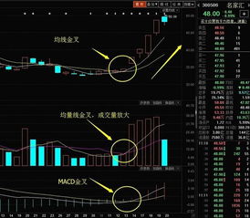 如何看是不是三线股票呢 如何看是不是三线股票呢