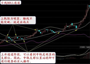 同花顺如何看股票总收益
