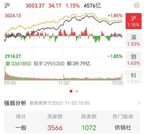 同花顺如何看股票总收益