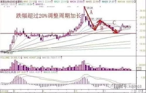 散户如何在股票中生存