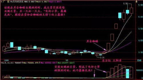 如何挑选100倍的股票