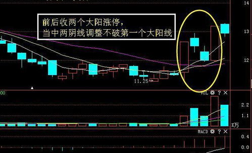 股票配股如何买入 股票配股如何买入