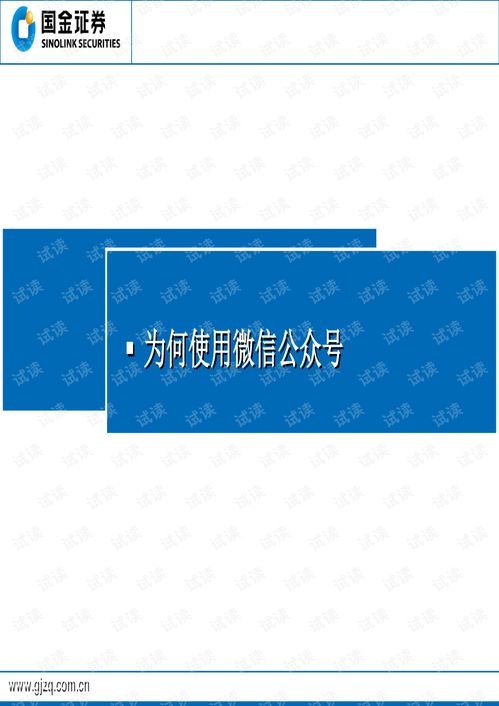 国金证券怎么看证券号码