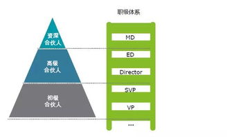 证券行业怎么选岗位