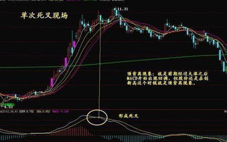 如何捕捉历史股票市场