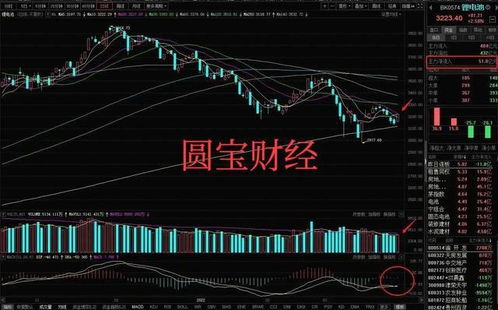 如何分析股票大跌