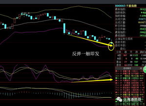炒股票如何跟盘走 炒股票如何跟盘走