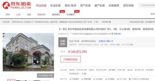 如何加价购买股票