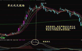 如何卖点股票