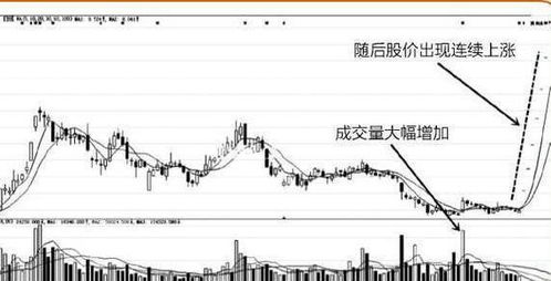 股票如何监测账户信息
