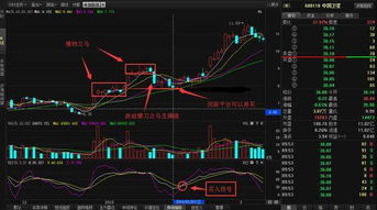 一个公司如何保存股票