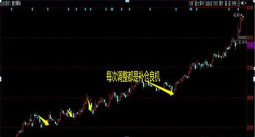 散户亏损股票如何做大