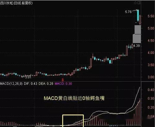 如何分辩股票