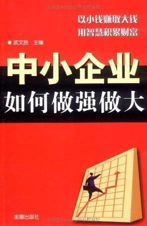 证券业怎么做大做强财务