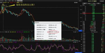 看跌股票如何获利