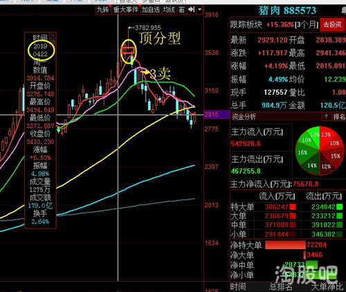 如何区分股票债券和股票