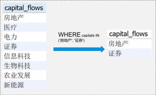 证券怎么找客户代码