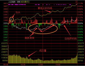股票如何运用那 股票如何运用那