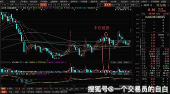 股票直播如何跟庄