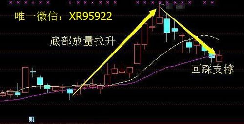 股票直播如何跟庄