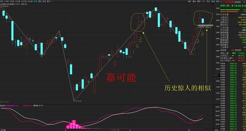 股票现在的行情如何看