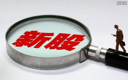 怎么在证券公司打新股 怎么在证券公司打新股