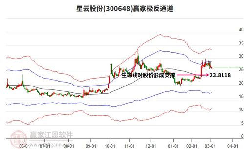 公司如何推广股票