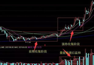 股票散户如何收割主力 股票散户如何收割主力