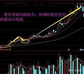 如何识别股票是不是散户