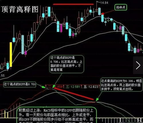 如何海外买庄园股票