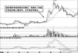 牛市启动后如何操作股票 牛市启动后如何操作股票