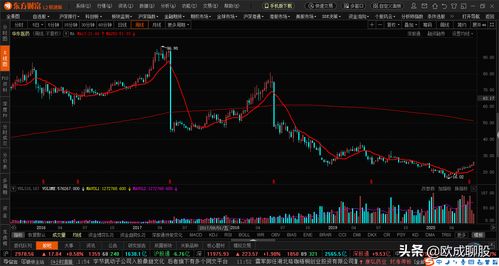 股票如何选行业龙头企业